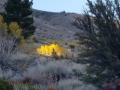 20141018_155305[2]