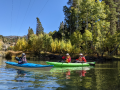 UP-CREEK