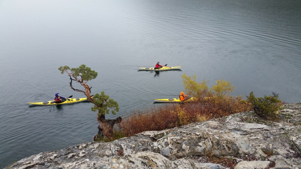 GULL LK PADDLE