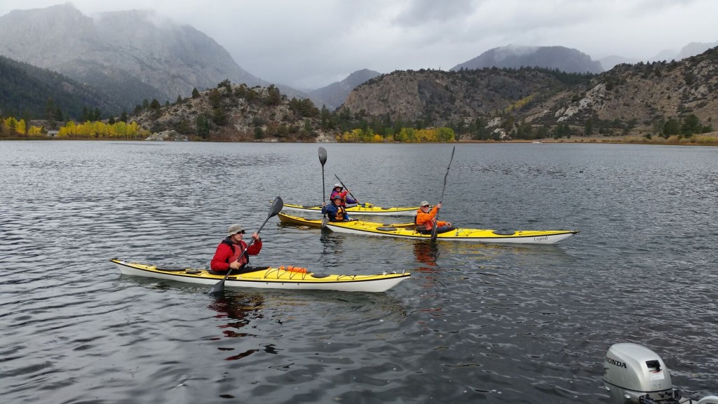 GULL LK PADDLE2