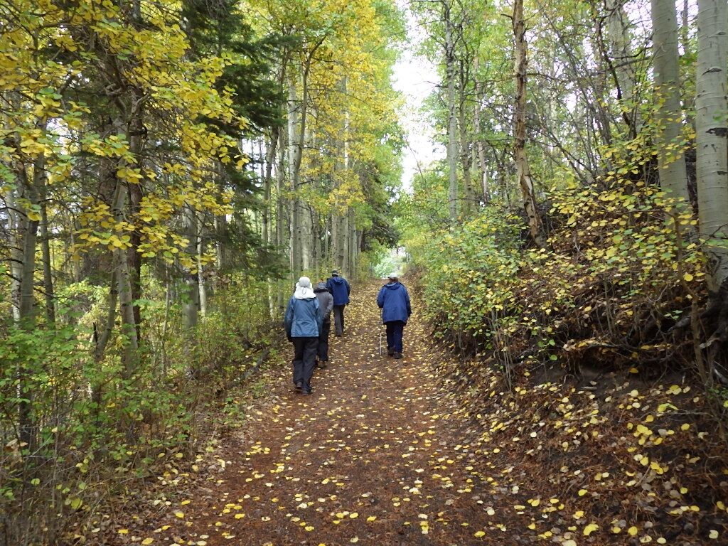 HIKE AROUND GULL LK