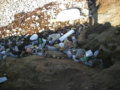 Plastic debris and the coastline viewed from Punta Riff: