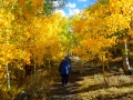 ASPEN HIKE