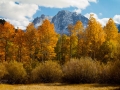 Fall - June Lake Loop - Joe Morin.jpg