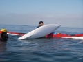 CAPSIZE.JPG