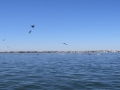 SOUTH SAN DIEGO BAY