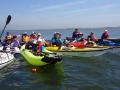 Turtle-paddle-main-photo[1]