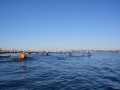 IMGP3690.JPG